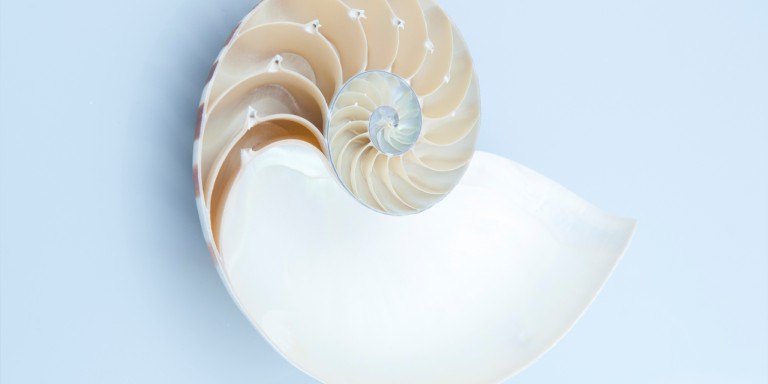 exploration-architecture.com